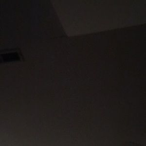 Meet your Posher, Bella